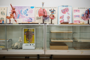 人体模型や治療食を展示しているスペースである。